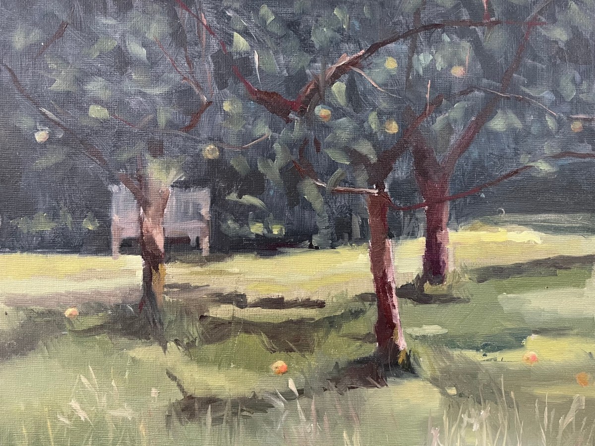 Als morgen de wereld vergaat, plant ik vandaag nog een&nbsp;appelboom.